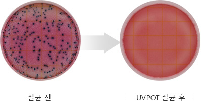 살균전 후 이미지