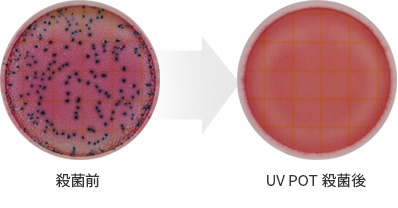 살균전 후 이미지